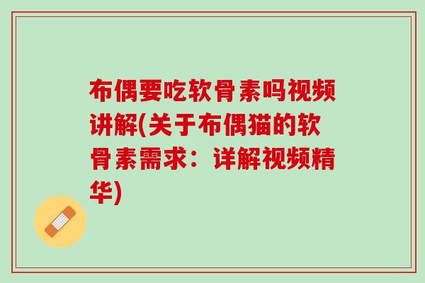 布偶要吃软骨素吗视频讲解(关于布偶猫的软骨素需求：详解视频精华)
