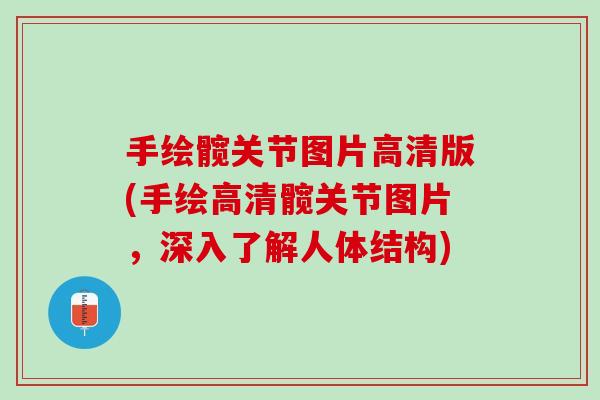 手绘髋关节图片高清版(手绘高清髋关节图片，深入了解人体结构)