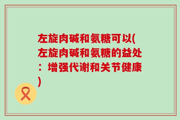 左旋肉碱和氨糖可以(左旋肉碱和氨糖的益处：增强代谢和关节健康)