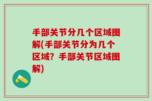 手部关节分几个区域图解(手部关节分为几个区域？手部关节区域图解)