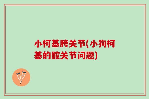 小柯基胯关节(小狗柯基的髋关节问题)