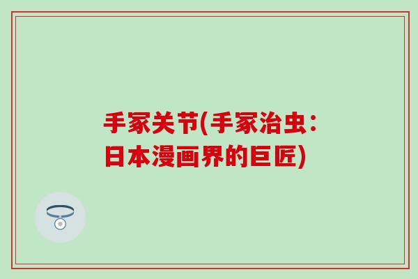 手冢关节(手冢治虫：日本漫画界的巨匠)
