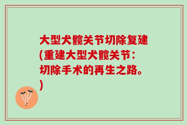 大型犬髋关节切除复建(重建大型犬髋关节：切除手术的再生之路。)