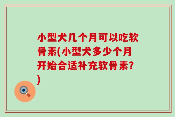 小型犬几个月可以吃软骨素(小型犬多少个月开始合适补充软骨素？)
