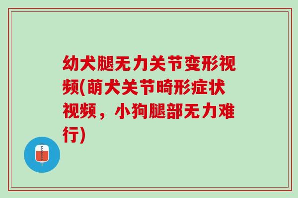 幼犬腿无力关节变形视频(萌犬关节畸形症状视频，小狗腿部无力难行)
