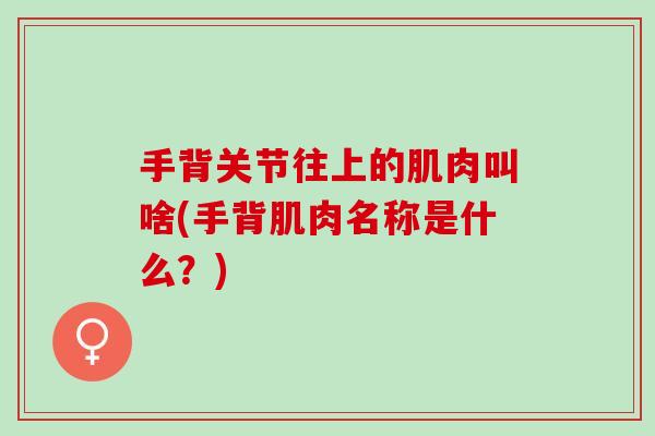 手背关节往上的肌肉叫啥(手背肌肉名称是什么？)