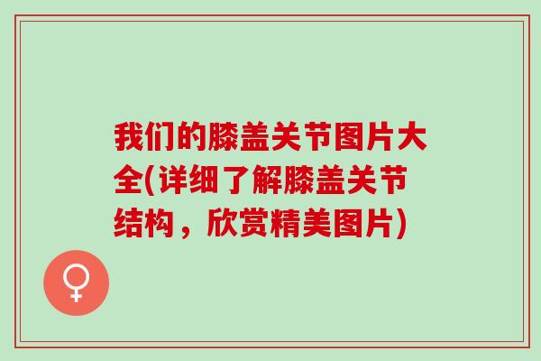 我们的膝盖关节图片大全(详细了解膝盖关节结构，欣赏精美图片)