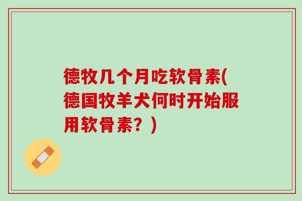 德牧几个月吃软骨素(德国牧羊犬何时开始服用软骨素？)