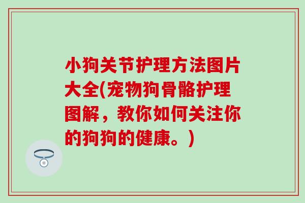小狗关节护理方法图片大全(宠物狗骨骼护理图解，教你如何关注你的狗狗的健康。)