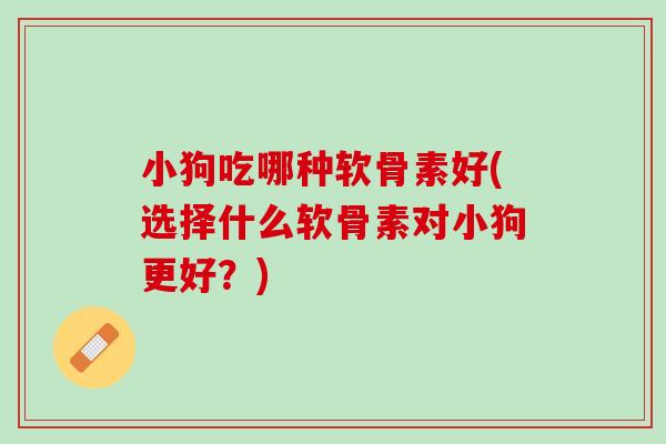 小狗吃哪种软骨素好(选择什么软骨素对小狗更好?) 小狗吃哪种软骨素好(选择什么软骨素对小狗更好?)
