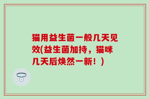 猫用益生菌一般几天见效(益生菌加持，猫咪几天后焕然一新！)
