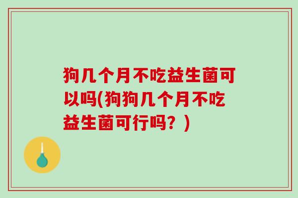 狗几个月不吃益生菌可以吗(狗狗几个月不吃益生菌可行吗？)