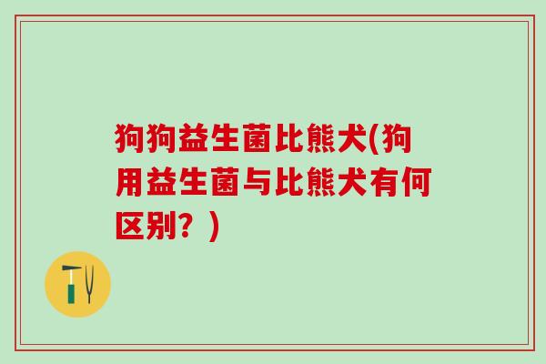 狗狗益生菌比熊犬(狗用益生菌与比熊犬有何区别？)