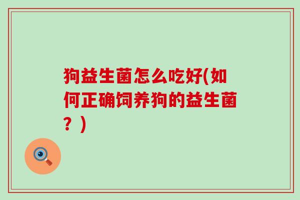 狗益生菌怎么吃好(如何正确饲养狗的益生菌？)
