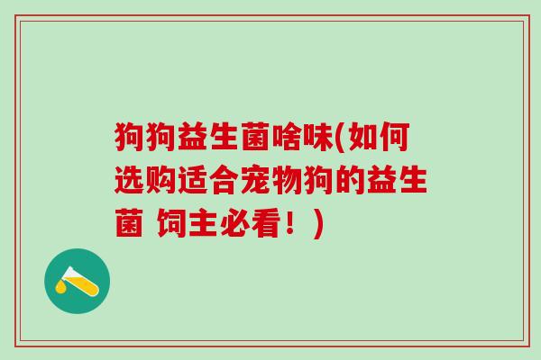 狗狗益生菌啥味(如何选购适合宠物狗的益生菌 饲主必看！)
