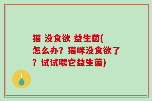 猫 没食欲 益生菌(怎么办？猫咪没食欲了？试试喂它益生菌)