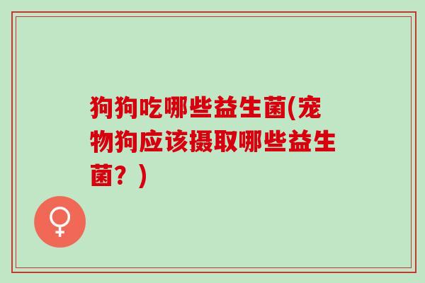 狗狗吃哪些益生菌(宠物狗应该摄取哪些益生菌？)