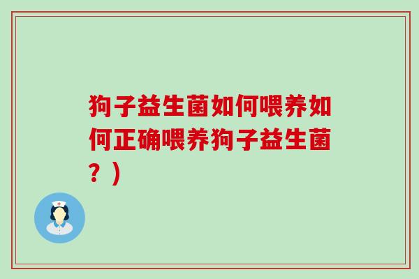 狗子益生菌如何喂养如何正确喂养狗子益生菌？)