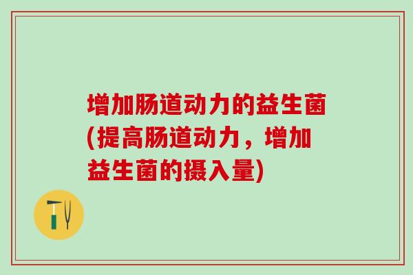 增加肠道动力的益生菌(提高肠道动力，增加益生菌的摄入量)