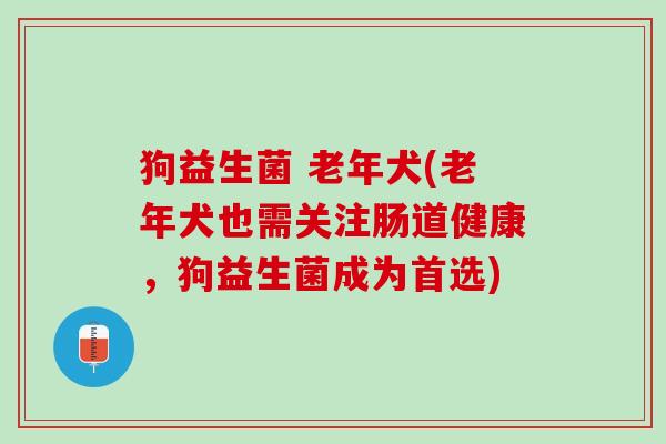 狗益生菌 老年犬(老年犬也需关注肠道健康，狗益生菌成为首选)