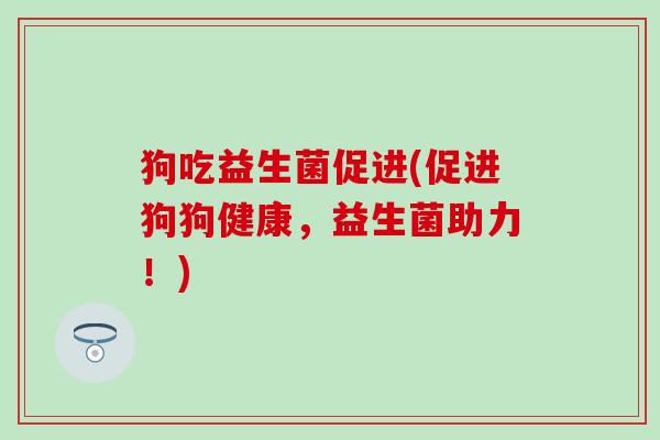 狗吃益生菌促进(促进狗狗健康，益生菌助力！)