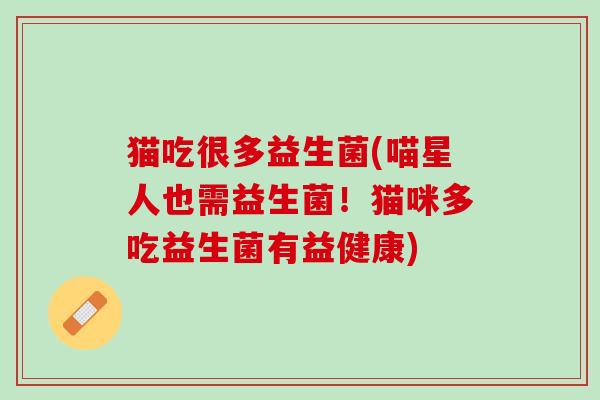 猫吃很多益生菌(喵星人也需益生菌！猫咪多吃益生菌有益健康)