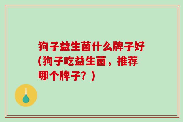 狗子益生菌什么牌子好(狗子吃益生菌，推荐哪个牌子？)
