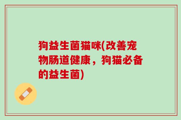 狗益生菌猫咪(改善宠物肠道健康，狗猫必备的益生菌)