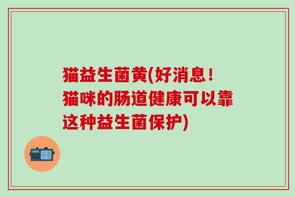 猫益生菌黄(好消息！猫咪的肠道健康可以靠这种益生菌保护)