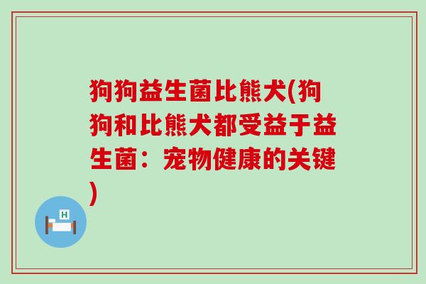 狗狗益生菌比熊犬(狗狗和比熊犬都受益于益生菌：宠物健康的关键)