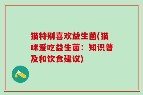 猫特别喜欢益生菌(猫咪爱吃益生菌：知识普及和饮食建议)