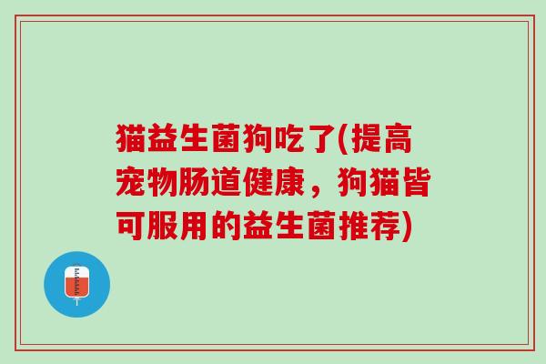猫益生菌狗吃了(提高宠物肠道健康，狗猫皆可服用的益生菌推荐)