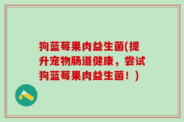 狗蓝莓果肉益生菌(提升宠物肠道健康，尝试狗蓝莓果肉益生菌！)