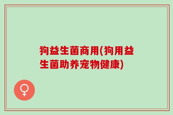 狗益生菌商用(狗用益生菌助养宠物健康)