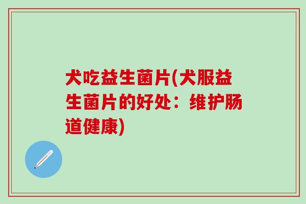 犬吃益生菌片(犬服益生菌片的好处：维护肠道健康)