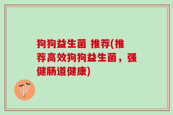 狗狗益生菌 推荐(推荐高效狗狗益生菌，强健肠道健康)