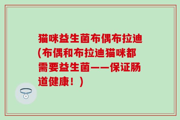 猫咪益生菌布偶布拉迪(布偶和布拉迪猫咪都需要益生菌——保证肠道健康！)