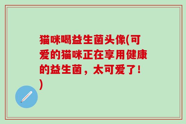 猫咪喝益生菌头像(可爱的猫咪正在享用健康的益生菌，太可爱了！)