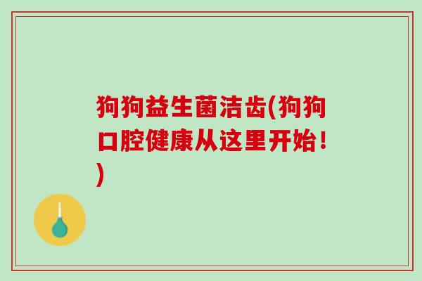 狗狗益生菌洁齿(狗狗口腔健康从这里开始！)