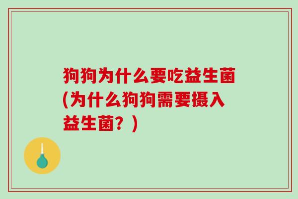 狗狗为什么要吃益生菌(为什么狗狗需要摄入益生菌？)