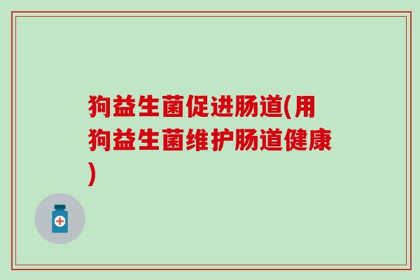狗益生菌促进肠道(用狗益生菌维护肠道健康)