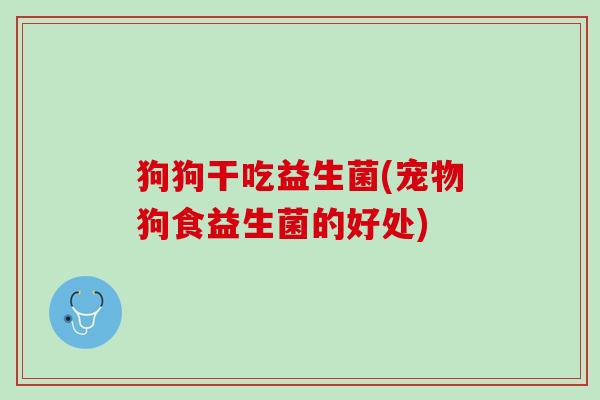 狗狗干吃益生菌(宠物狗食益生菌的好处)