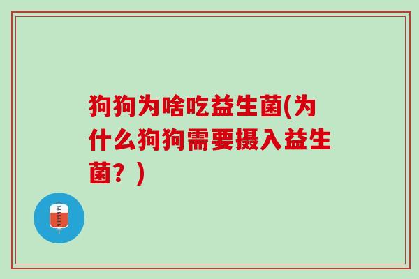 狗狗为啥吃益生菌(为什么狗狗需要摄入益生菌？)