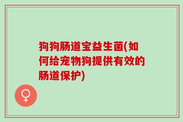 狗狗肠道宝益生菌(如何给宠物狗提供有效的肠道保护)