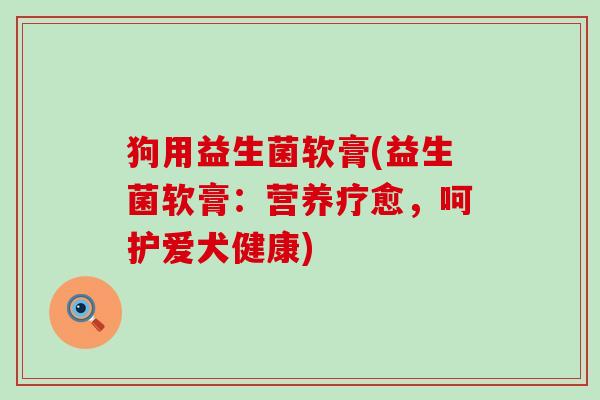 狗用益生菌软膏(益生菌软膏：营养疗愈，呵护爱犬健康)