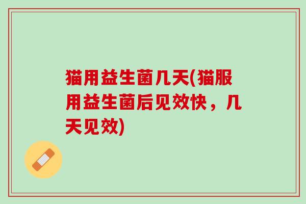 猫用益生菌几天(猫服用益生菌后见效快，几天见效)