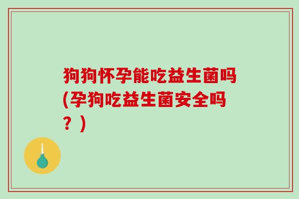 狗狗怀孕能吃益生菌吗(孕狗吃益生菌安全吗？)
