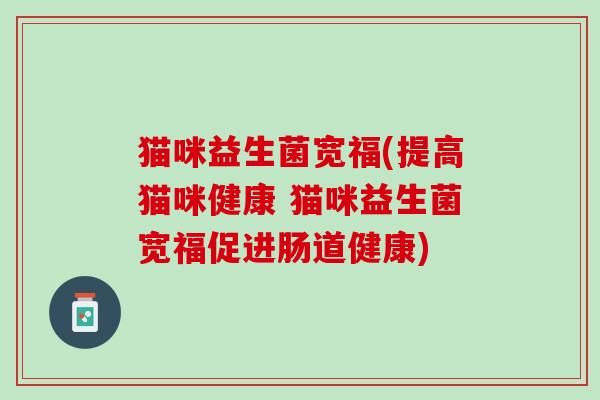 猫咪益生菌宽福(提高猫咪健康 猫咪益生菌宽福促进肠道健康)