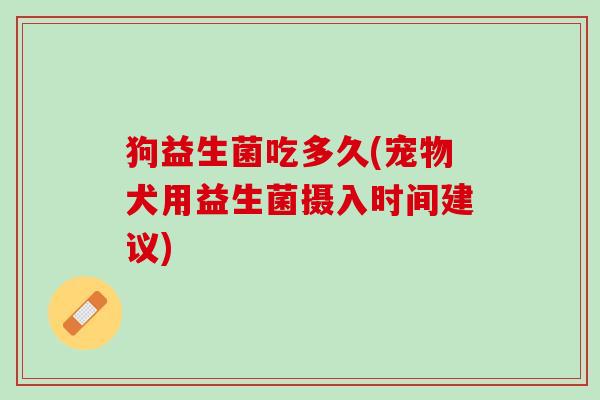 狗益生菌吃多久(宠物犬用益生菌摄入时间建议)