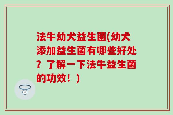 法牛幼犬益生菌(幼犬添加益生菌有哪些好处？了解一下法牛益生菌的功效！)